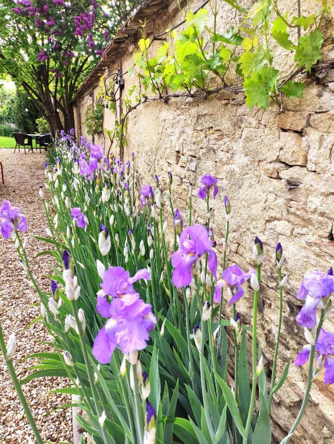 Le 14 Faubourg Bed & Breakfast Beaune  Bagian luar foto